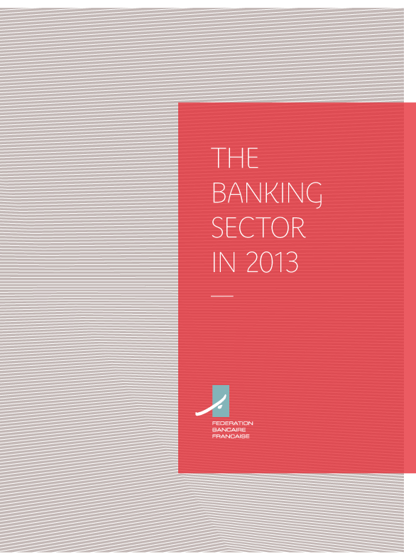 The French banking sector in 2013