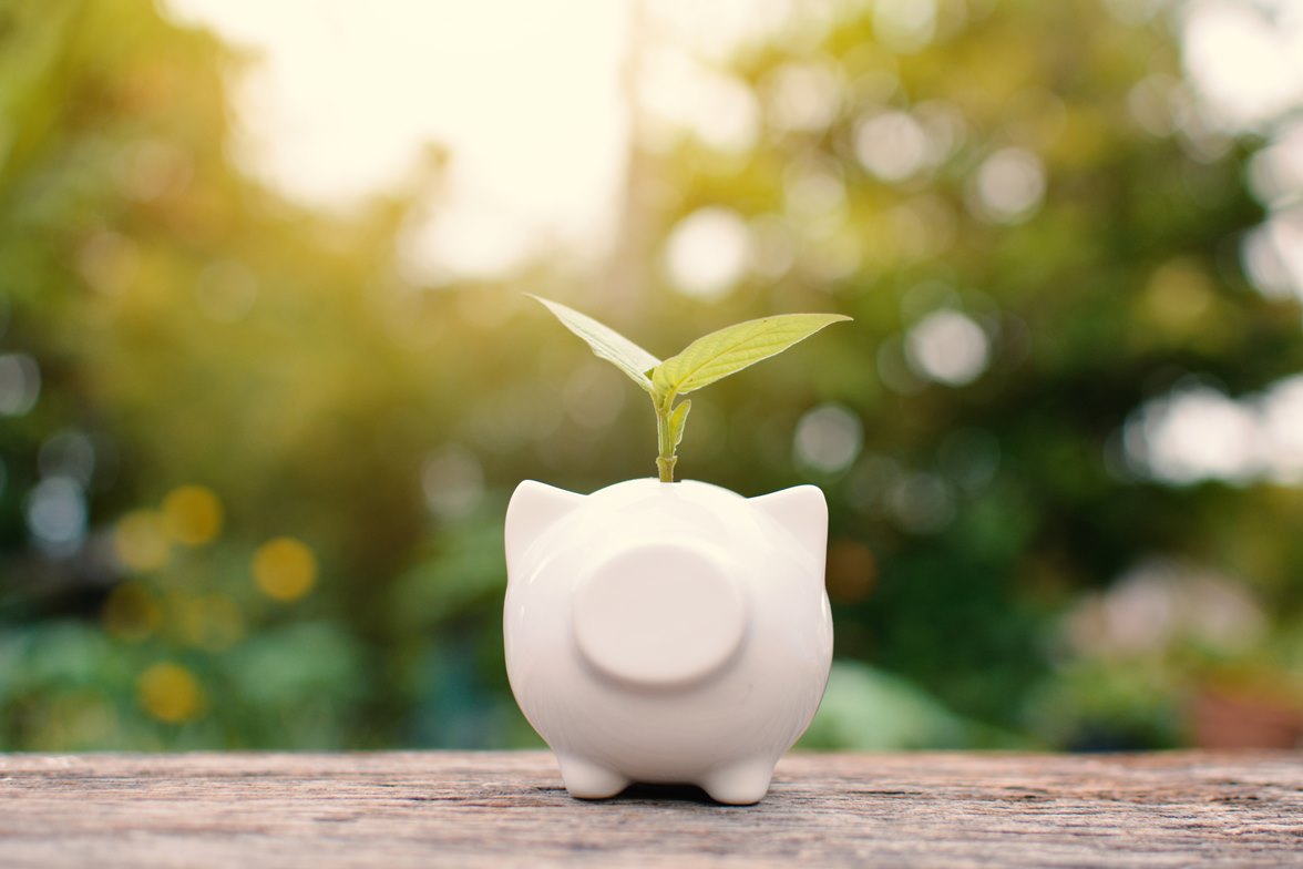 Contribution pour la lutte contre le changement climatique