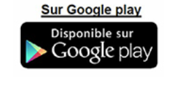 Google Play Pilote budget