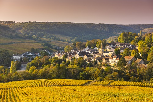 Les banques en Bourgogne-Franche-Comté : chiffres clés et principales actions